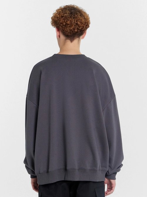 Свитшот мужской серый с принтом "Заповедный напев", фото 4 из 5