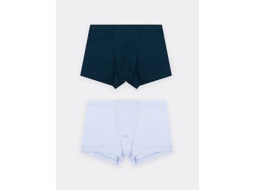 Набор трусов для мальчиков (2 шт.) голубого и темно-синего цвета