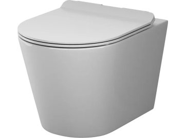 Унитаз подвесной AM.PM Sunny Flashclean с сиденьем микролифт C85C1701SC