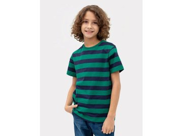 Футболка для мальчиков в сине-зеленую полоску Марк Формель