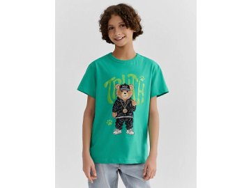 Футболка для мальчиков зеленая с принтом из хлопка