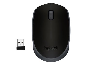 Мышь LOGITECH M171 Black (L910-004424) в магазинах 