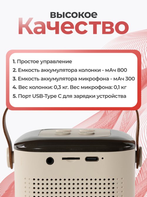 Портативное караоке Y-1, фото 3 из 51