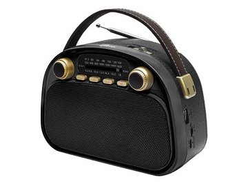 Радиоприёмник RITMIX RPR-040 (черный)