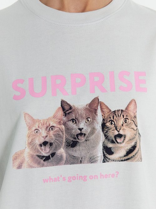 Футболка женская серая с принтом "Surprise what's going on here", фото 5 из 30