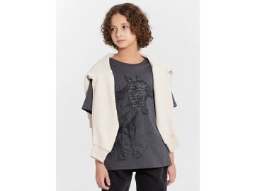 Футболка для мальчиков серая с принтом "Заповедный напев..." Марк Формель