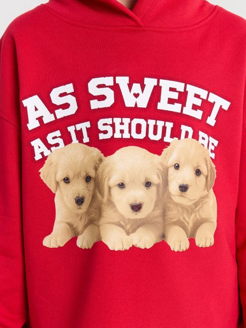 ХУДИ ДЛЯ ДЕВОЧЕК, фото 5 из 7