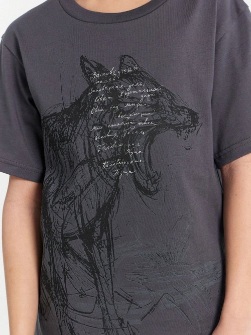 Футболка для мальчиков серая с принтом "Заповедный напев...", фото 5 из 5