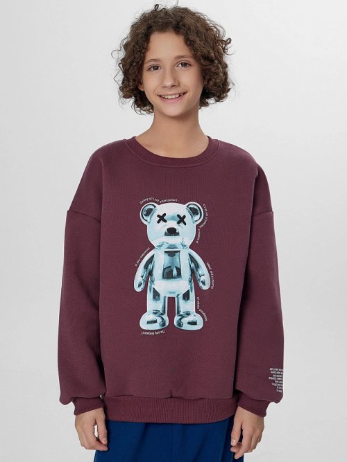 Теплый свитшот для мальчиков коричневый с начесом, фото 1 из 8