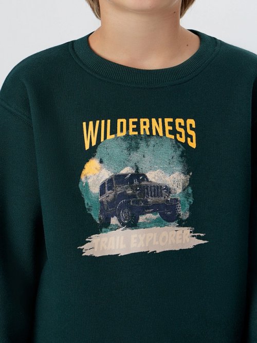 Свитшот для мальчиков зеленый с надписью "Wilderness", фото 4 из 7