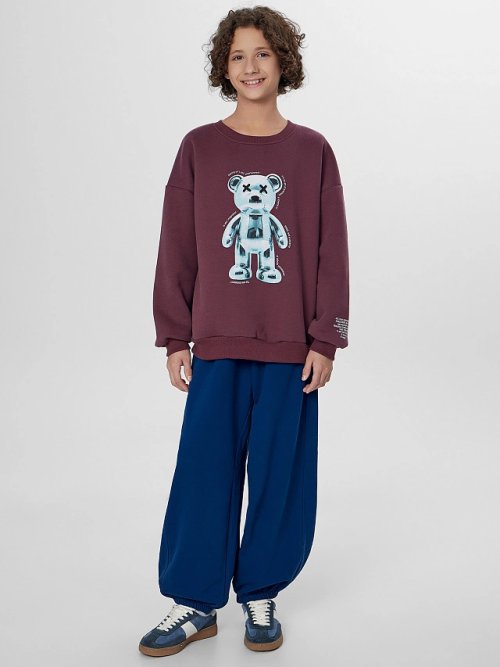 Теплый свитшот для мальчиков коричневый с начесом, фото 3 из 8