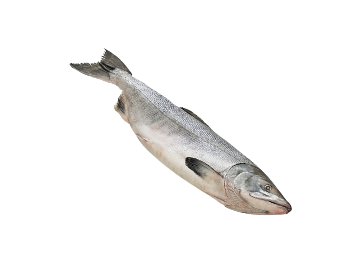 Паста из морепродуктов Санта Бремор Антарктик-криль классический 150 г