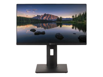 Моноблок Тесла P24BP 4416500