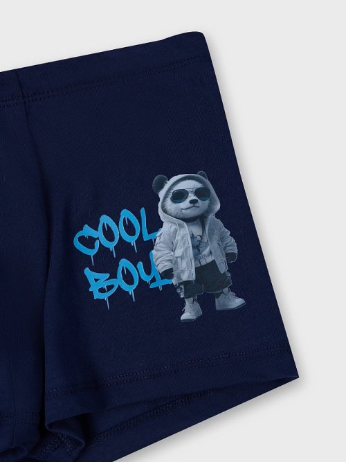 ТРУСЫ ДЛЯ МАЛЬЧИКОВ, фото 6 из 9