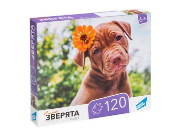 Пазл Dream Makers Зверята RI1203C