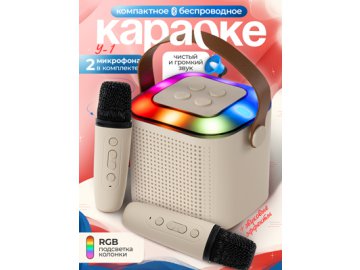 Портативное караоке Y-1
