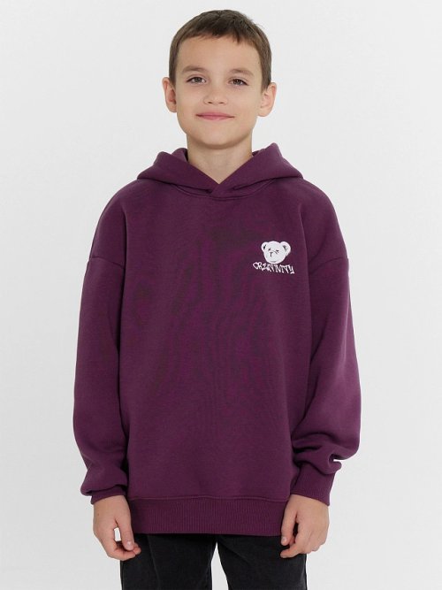 ХУДИ ДЛЯ МАЛЬЧИКОВ, фото 2 из 5