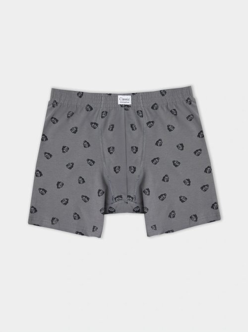 Трусы боксеры мужские удлиненные зеленые с принтом, фото 7 из 14