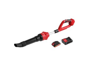 Воздуходувка Wortex BB 2018-1 D ALL1 XLT SET (1334646)