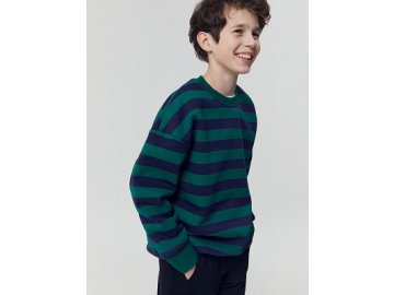 Свитшот для мальчиков в сине-зеленую полоску