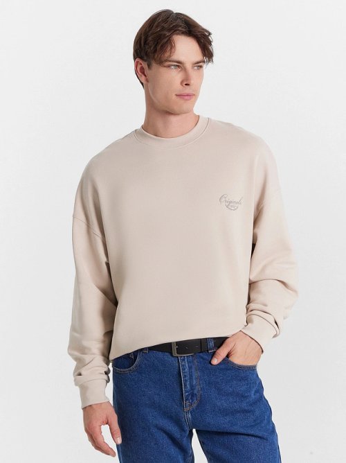 Свитшот мужской бежевый с печатью, фото 1 из 7