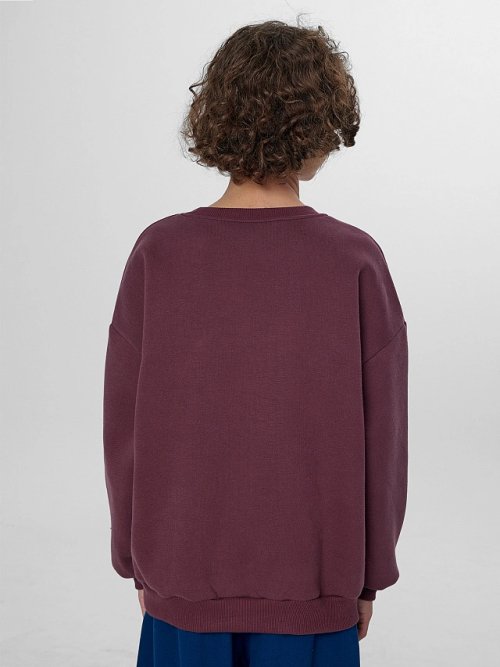 Теплый свитшот для мальчиков коричневый с начесом, фото 2 из 8