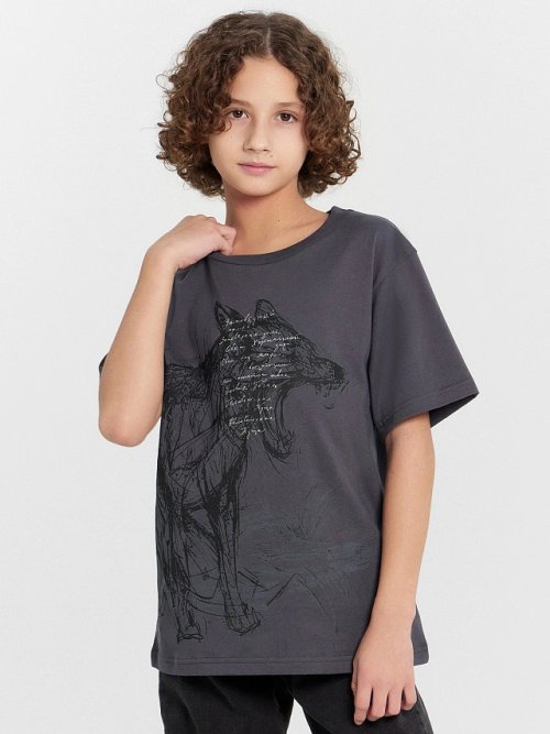 Футболка для мальчиков серая с принтом "Заповедный напев...", фото 2 из 5