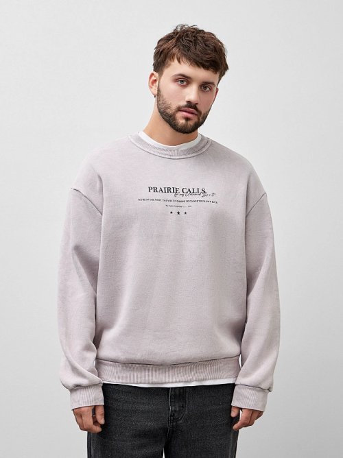 Свитшот мужской с начесом и надписью "Prairie calls", фото 1 из 18