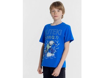 Футболка для мальчиков синяя с печатью