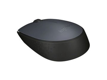 Мышь LOGITECH M170 Grey (910-004646) в Пинске 5 элемент