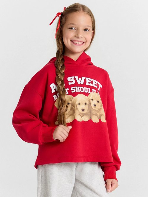 ХУДИ ДЛЯ ДЕВОЧЕК, фото 7 из 7