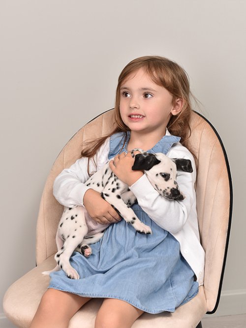 Кресло рабочее Хилтон, фото 81 из 752