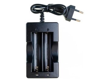 Зарядное устройство Rexant PROconnect для 2-х Li-ion 18650 18-2237