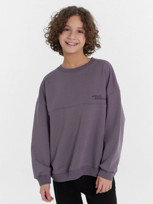 СВИТШОТ ДЛЯ МАЛЬЧИКОВ, фото 2 из 6