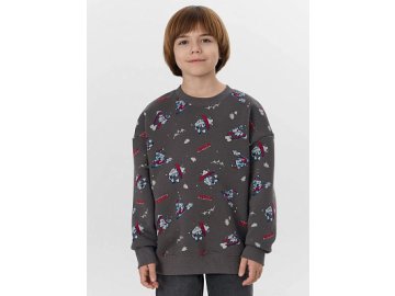 СВИТШОТ ДЛЯ МАЛЬЧИКОВ Марк Формель